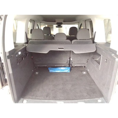 Ford Tourneo Connect Tourneo Connect 2.0 EcoBlue Titanium 122 cv