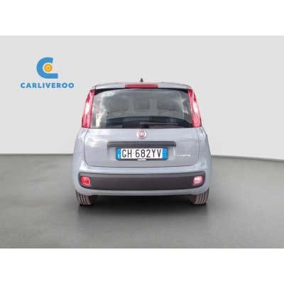 Fiat Panda Panda 1.0 Firefly Hybrid 70cv