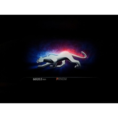 Ford Puma 1.0 ecoboost hybrid ST-Line s&s 125cv auto