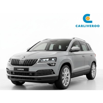 Skoda Karoq 2.0 tdi evo Executive 115cv dsg